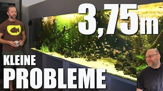 Massives Pflanzenwachstum Pinselalgen und Cyanos  Update von Jochens 3600 Liter Süßwasseraquarium [upl. by Ojybbob587]