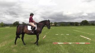 How to improve your exracehorses flatwork with Clare Poole  HorseampRider [upl. by Yseult81]