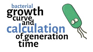 Bacterial Growth Curve amp Generation time Calculation [upl. by Ahsyen]