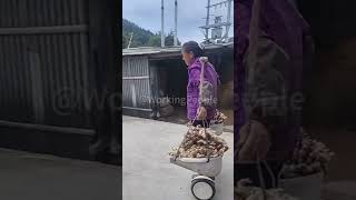 The use of balance bike in farm work [upl. by Nnyleahs]