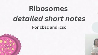 ribosomes detailed biology short notes class 9 and 10 cbsc and icscbiology [upl. by Aicilyhp]