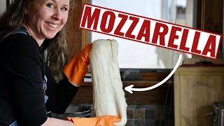 How To Make PERFECT Mozzarella In Just 30 Minutes [upl. by Nahgem]