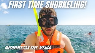 We went SNORKELING in the 2ND LARGEST REEF in the WORLD  Snorkeling Riviera Maya Mexico [upl. by Croner193]