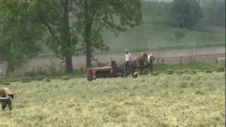 Amish Country  Take a ride in beautiful Holmes County Ohio [upl. by Gottfried]