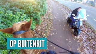 Een kijkje door mijn ogen op buitenrit  Vlogmas 3 [upl. by Chesna]