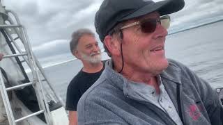 Narragansett Bay Rhode Island Striped Bass Fishing 2022 [upl. by Nyahs]