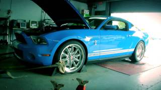 Steeda tunes a 2010 Shelby Mustang GT500 on the Dyno [upl. by Amorete]