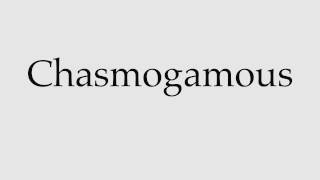 How to Pronounce Chasmogamous [upl. by Tiedeman603]