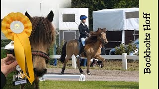 Sieg mit Moldi  Bockholts Hoff 2017 Styrmir1000 [upl. by Aisatan]