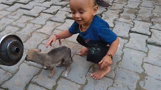 kis kis Ko chahiye Sabse dangerous puppy only 100 mein order book ho jayega puppy very dangerous [upl. by Annnora]