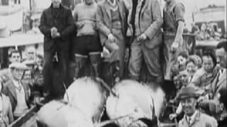 World Record of Giant Bluefin Tuna 1496 lbs Ken Fraser amp Nova Scotia Highlight [upl. by Carrol919]