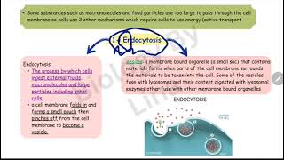 endocytosis vs exocytosis biology11 [upl. by Balcke400]