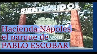 Hacienda Nápoles el parque temático de Pablo Escobar [upl. by Aynekat]