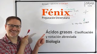 Ácidos Grasos Caracteristicas y Nomenclarura [upl. by Fianna]