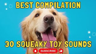 30 squeaky toy sounds  for dogs and babies  Best compilation squeaky dog toy noise dog dogtv [upl. by Mayne]