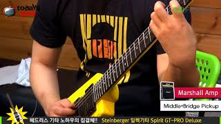 Todaysgear Steinberger Spirit GTPRO Deluxe [upl. by Salas]