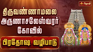 திருவண்ணாமலை ஸ்ரீஅருணாச்சலேஸ்வரர் கோவில்  பிரதோஷ வழிபாடு  Pradosham  Nandhi Abishegam [upl. by Sivrad555]