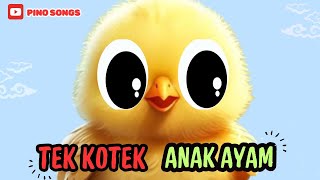 LAGU ANAK AYAM TEK KOTEK KOTEK  chicken song  lagu anak indonesia  anak ayam Pino songs [upl. by Erait]