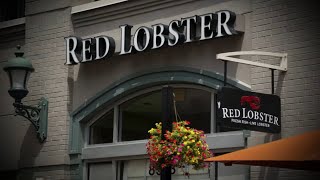 Red Lobster reportedly plans to file for bankruptcy [upl. by Reyam423]