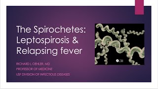 The Spirochetes Leptospirosis and Relapsing Fever  Richard L Oehler MD [upl. by Nyhagen]