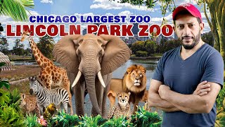 5 Amazing Animals You Wont Believe Are at Lincoln Park Zoo  Free Admission Year Round ▪ 2024 Zoo [upl. by Akram]