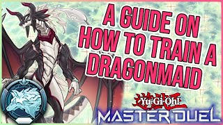 PLATINUM DRAGONMAID GUIDE【YuGiOh Master Duel】 [upl. by Swan]