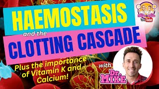 Hemostasis and the Clotting Cascade Why Vitamin K amp Calcium are important [upl. by Oster]