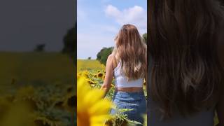 Sunflower fields in North Dakota 🌻 sunflower summer northdakota flowers sunlovers outdoors [upl. by Nairam52]