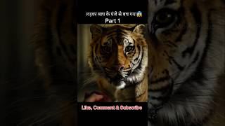 Part 1 Life of Pi Movie Explanation Hindi 😱 shorts movie shortsfeed moviepious reels film [upl. by Magnus191]