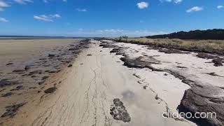 Walk from Tankerton Jetty to Fairhaven Campground and return French Island Victoria Australia [upl. by Codding]