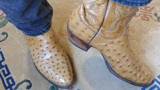 LUCCHESE CLASSICS Full Ostrich Vamps in 4k UHD [upl. by Notniv]