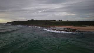 Maroubra beach mornings [upl. by Nyladnarb56]