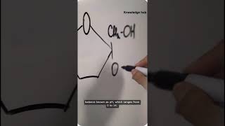 Concepts of acids bases [upl. by Cayla]