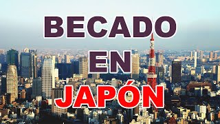 Como fue conseguir una BECA para estudiar en JAPÓN [upl. by Rachaba567]