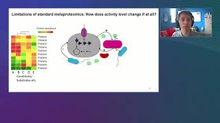 Proteinbased stable isotope probing ProteinSIP metaproteomics [upl. by Jacinthe356]