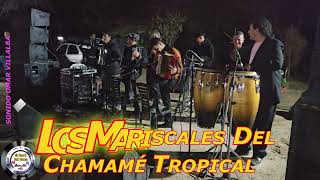 LOS MARISCALES DEL CHAMAMÉ TROPICAL TEMAS SEDIENTOS [upl. by Enotna]