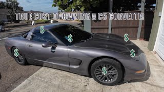 Avoiding Costly Mistakes Corvette C5 Ownership Tips [upl. by Notle]