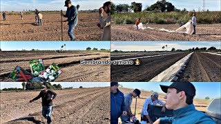 ASÍ SEMBRAMOS LA CALABAZA Y OTRAS COSAS MÁS A MANO Y PONEMOS AGRIBON ALAS CAMAS ‼️ [upl. by Melone463]