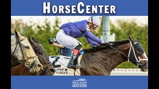 Cigar Mile and Remsen Stakes top picks on HorseCenter [upl. by Mariano]