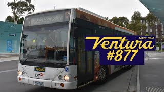 Ventura Oakleigh 877 on Route 733 [upl. by Godliman]