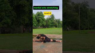 martial art flexibility workout indian mma [upl. by Silas989]