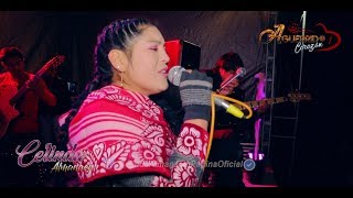 CELINDA ALMANACIN EN CHALLHUAHUACHO  CCASA 2018 Concierto en Vivo [upl. by Eitten183]