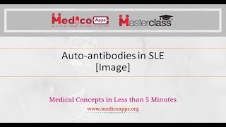 Autoantibodies in SLE Image [upl. by Obala862]