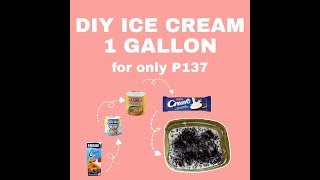 DIY 1 GALLON ICE CREAM FOR ONLY P137 SULIT  ITS KITTEN [upl. by Nosyrb]