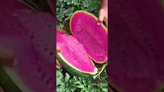 Enjoy Beautiful Pink Watermelon 🍉 [upl. by Htebazila]