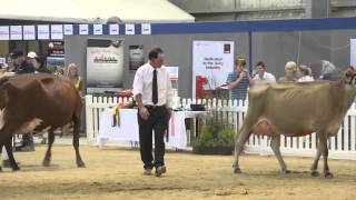 International Dairy Week in Tatura [upl. by Prosser]