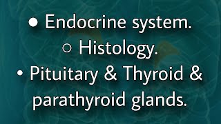 Endocrine histology  pituitary amp thyroid amp parathyroid glands [upl. by Eugenius]