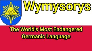 The Worlds Most Endangered Germanic Language  Wymysorys [upl. by Eiramanel]