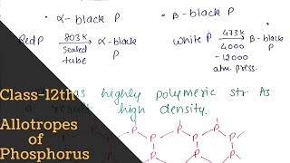 Allotropes of phosphorus  full concept   p block Elements  Class12th  Bharat Panchal [upl. by Teiv405]