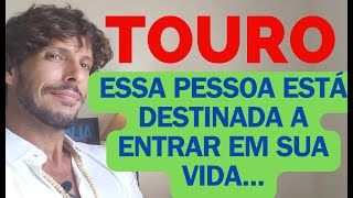 ♉️ TOURO ESSA PESSOA ESTÁ NO SEU DESTINO TAROT TERAPÊUTICO Fernando Novais [upl. by Iffar]